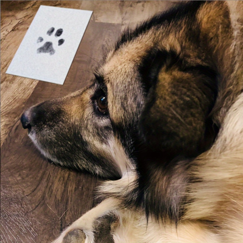 The pet paw print kit comes wi - Footprint Ink Kit ulasan dan harga