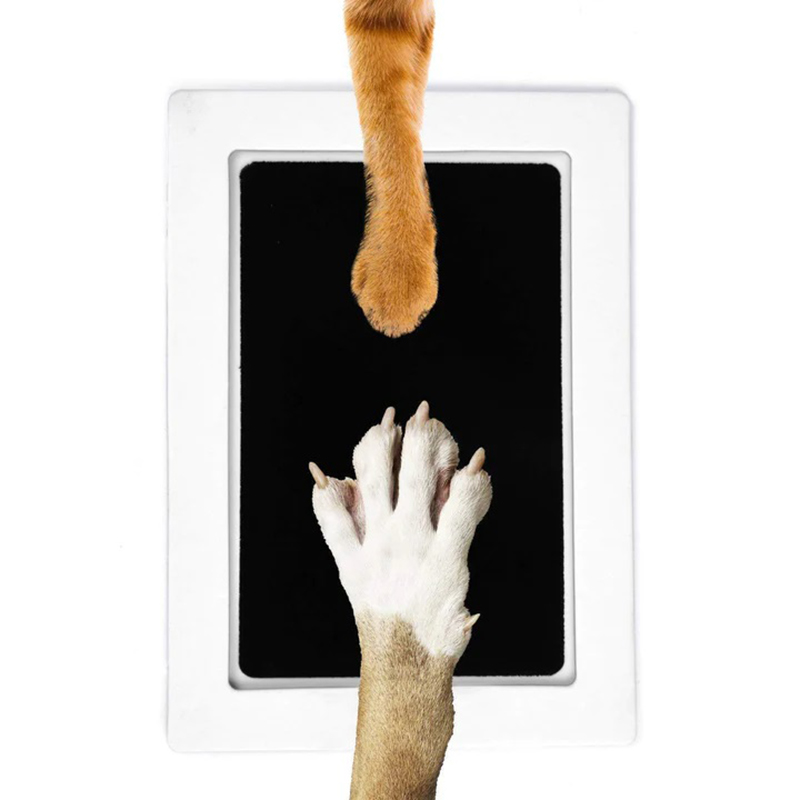 Cat Dog Paw Print Ink Kit Pad  - Footprint Ink Kit ulasan dan harga